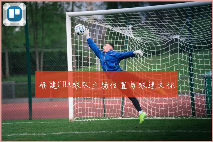 福建CBA球队主场位置与球迷文化