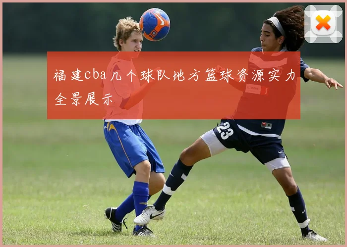 福建cba几个球队地方篮球资源实力全景展示