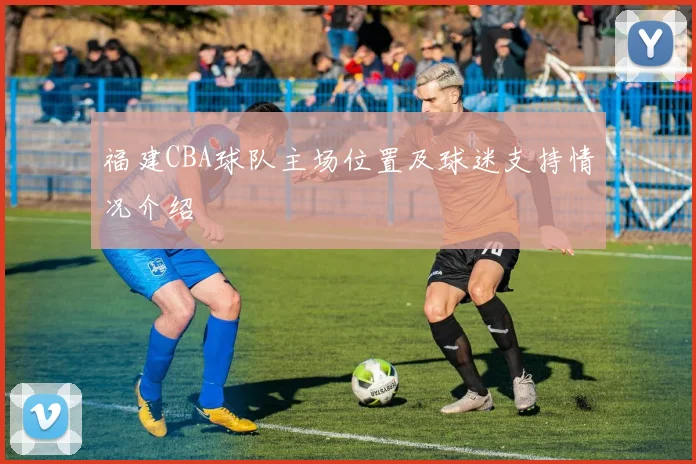 福建CBA球队主场位置及球迷支持情况介绍